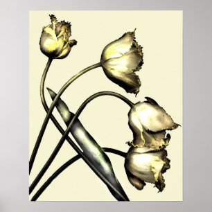 Vier tulpen nr. 2 poster