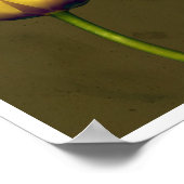 Vier tulpen poster (Hoek)