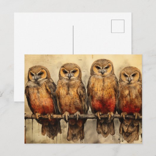 Vier uilen briefkaart (Voorkant / Achterkant)