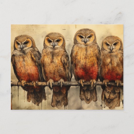 Vier uilen briefkaart (Voorkant)