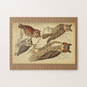 Vier uilen illustratie legpuzzel (Horizontaal)