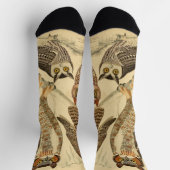 Vier uilen illustratie sokken (Top)