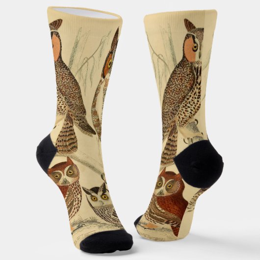 Vier uilen illustratie sokken (Gebogen)