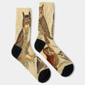 Vier uilen illustratie sokken (Rechts)