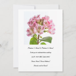 Vier uw speciale dag met een leuke kalmia kaart