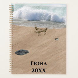 Vier Vogels op een Strand Planner