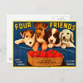 Vier Vrienden  tomatenkratenhonden Briefkaart (Voorkant / Achterkant)