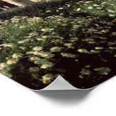 Vier-weg Arch van Marcus Aurelius en Lucius Poster (Hoek)