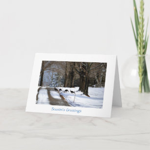 Vier Wilde Kalkoenen - de Kaart van de Vakantie