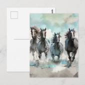 Vier Wilde Mustangs Galopperen Over De Prairie Briefkaart (Voorkant / Achterkant)