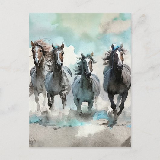 Vier Wilde Mustangs Galopperen Over De Prairie Briefkaart (Voorkant)