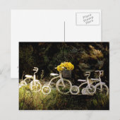 Vier witte Trikes Briefkaart (Voorkant / Achterkant)