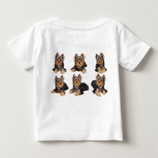 Vier yorkies (Achterkant)