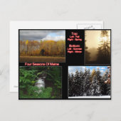 Vier zeesoorten van maïs briefkaart (Voorkant / Achterkant)