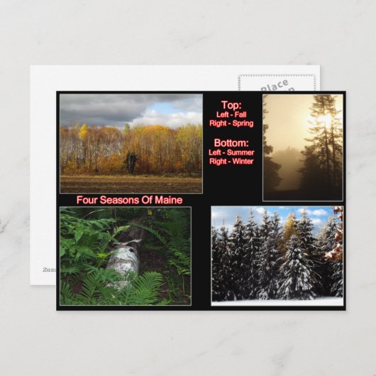 Vier zeesoorten van maïs briefkaart (Voorkant / Achterkant)