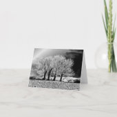 Vier zussen kaart (Voorkant)