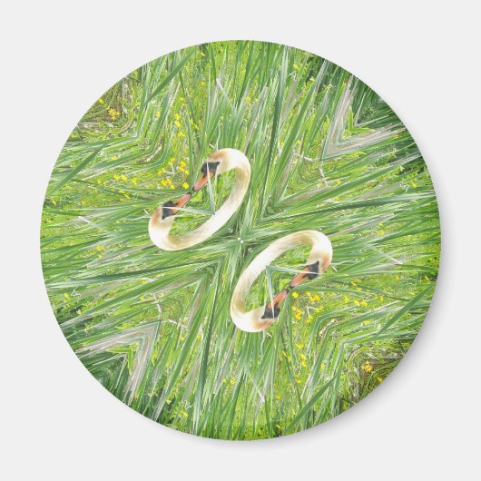 Vier zwanen koelkastmagneet magneet (Voorkant)