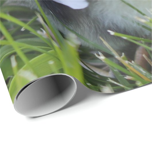 Vier zwarte en gele Baby kipkuikens Cadeaupapier (Rol Hoek)