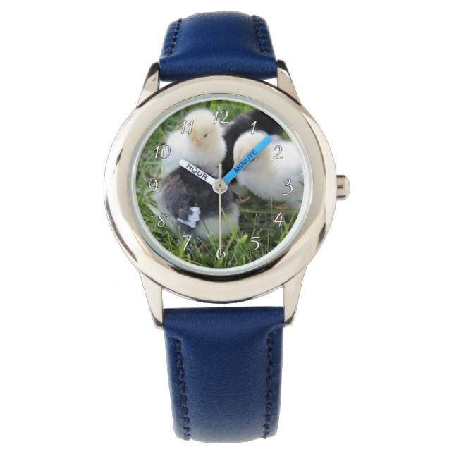 Vier zwarte en gele Baby kipkuikens Horloge (Voorkant)