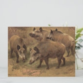 Vier zwijnen in een Frans landschap (door Rosa Bon Kaart (Staand voorkant)