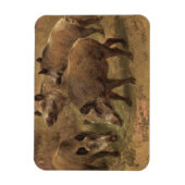 Vier zwijnen in een Frans landschap (door Rosa Bon Magneet (Verticaal)