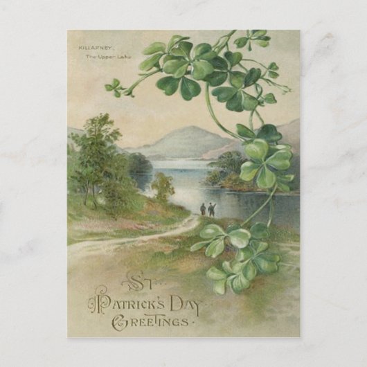 Vierbladige Klaver Killarney Mountain Briefkaart (Voorkant)