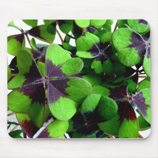 Vierbladige Klaver Shamrock St. Patrick's Lucky Muismat (Voorkant)