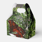 Vierboomkwekerij Bedankdoosjes (Achterkant)