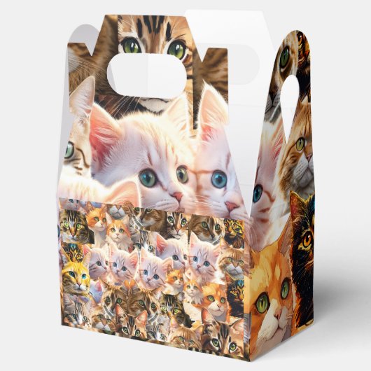 Vierbox Bedankdoosjes (Geopend)