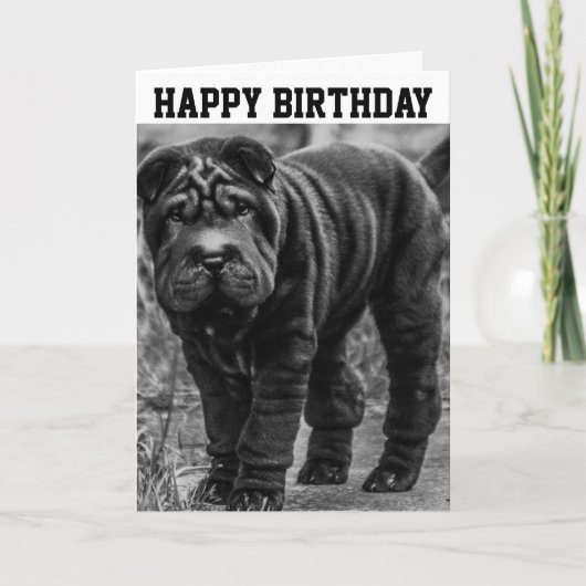 VIERDAGKAART MET SHAR PEI DOG KAART (Voorkant)