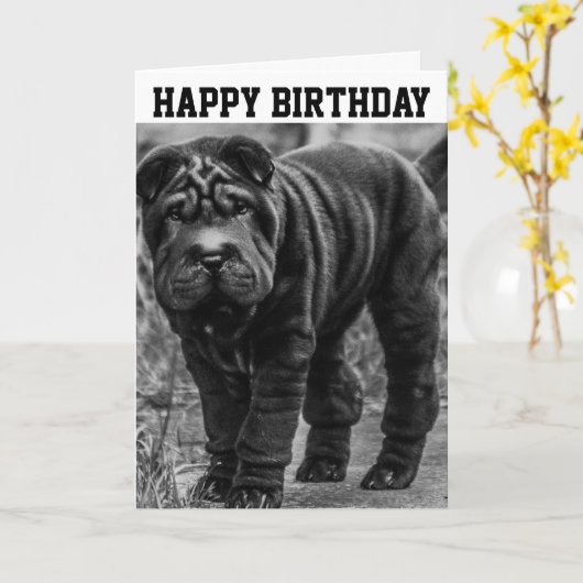 VIERDAGKAART MET SHAR PEI DOG KAART (Gele Bloem)