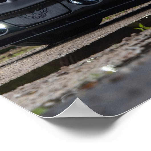 Vierde Gen WS6 Ram Air Trans Am Poster (Hoek)