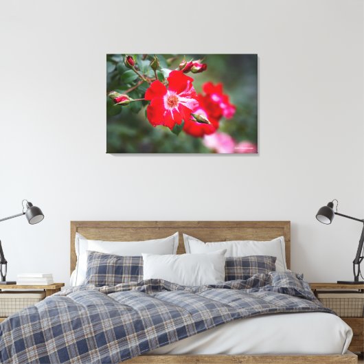 Vierde juli Shrub Canvas Afdruk (Insitu (Slaapkamer))