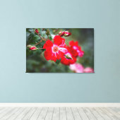 Vierde juli Shrub Canvas Afdruk (Insitu (Houten vloer))