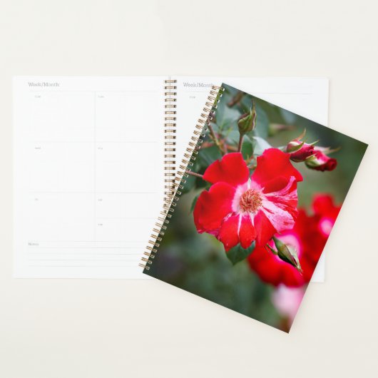 Vierde juli Shrub Planner (Display)