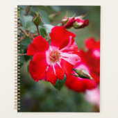 Vierde juli Shrub Planner (Voorkant)