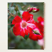 Vierde juli Shrub Planner (Achterkant)