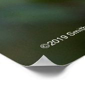 Vierde juli Shrub Poster (Hoek)