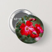 Vierde juli Shrub Ronde Button 5,7 Cm (Voorkant /achterkant)