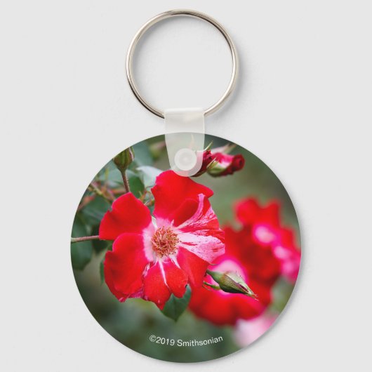 Vierde juli Shrub Sleutelhanger (Voorkant)