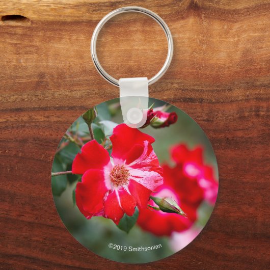 Vierde juli Shrub Sleutelhanger (Voorkant)