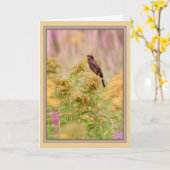 Vieren gal-birds: Vrouw-Red-wing black bird: Kaart (Gele Bloem)