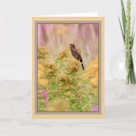 Vieren gal-birds: Vrouw-Red-wing black bird: Kaart