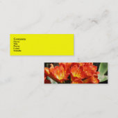 vieren mini visitekaartje (Voorkant / Achterkant)