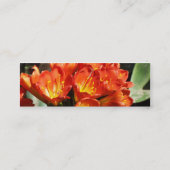 vieren mini visitekaartje (Achterkant)