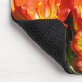 vieren muismat (Hoek)