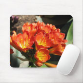 vieren muismat (Met muis)