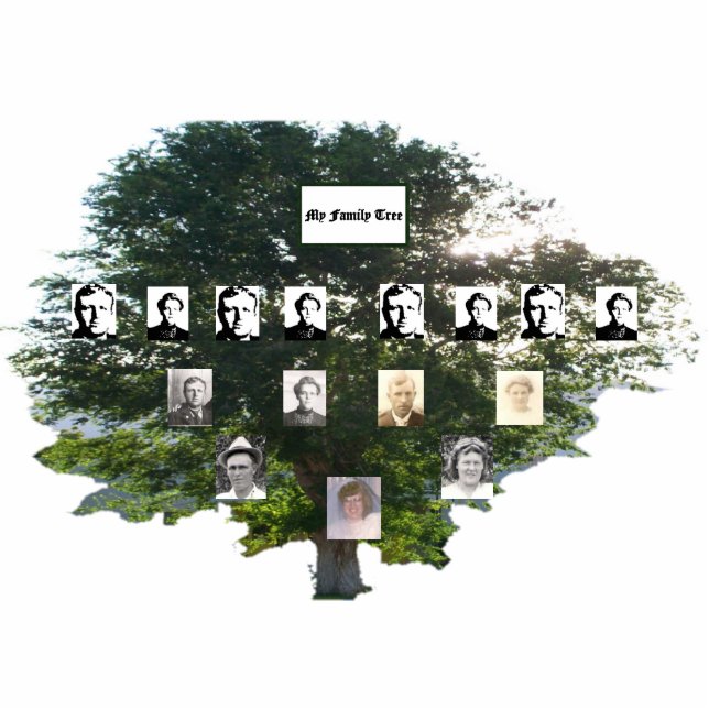 Viergeneratie Elm Familie Boom Staand Fotobeeldje (Voorkant)