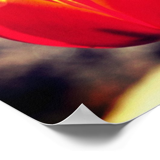 Vierig Oranje gele Tulp Vloeit dicht Poster (Hoek)