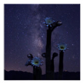 Viering onder de sterren perfect poster (Voorkant)